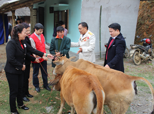 Lãnh đạo T.Ư Hội CTĐ Việt Nam và Hội CTĐ tỉnh trao bò cho hộ có hoàn cảnh khó khăn, đủ điều kiện để chăn nuôi.
